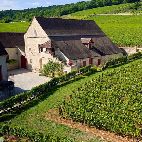 What is a monopole? Why Burgundy’s rarest vineyards matter