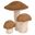 Illustration of three brown mushrooms with earthy tones, symbolising mushroom and earthy dish pairings