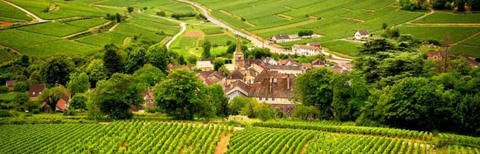 Investing in French vintages