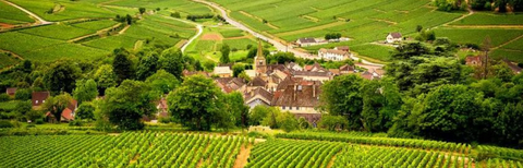 How to invest in french wine: Bordeaux, Burgundy & Rhone guide