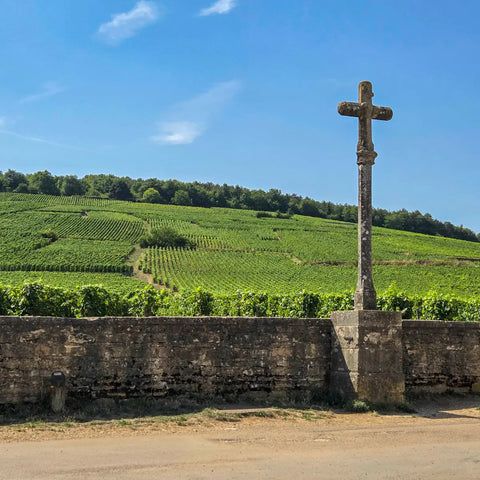 Domaine de la Romanée-Conti: A collector’s guide to Burgundy’s most legendary domaine