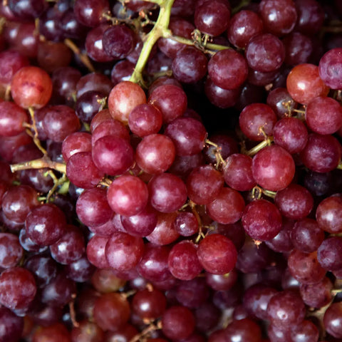 How do you make white wine from red grapes? Explained simply