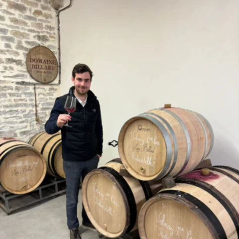 Louis Billard: a new Burgundy name with old-world backing