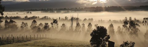 Mount Mary Vineyard in Yarra Valley with morning mist over vineyard landscape showing premium terroir