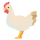 Chicken & poultry