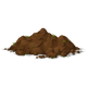 Earthy & forest floor